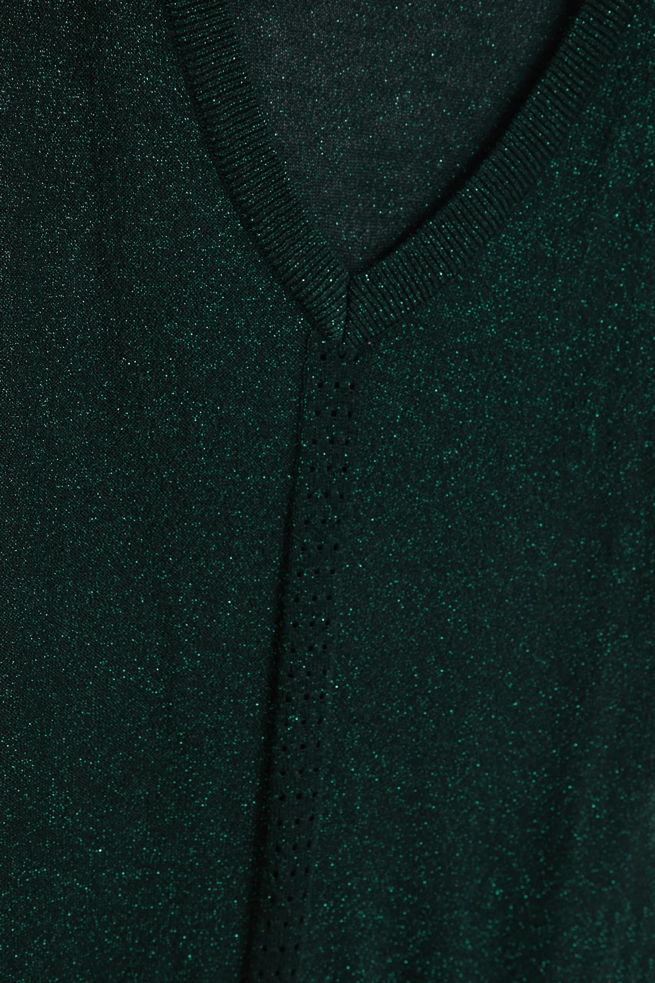 z sw 4880 d.green 06 z sw 4880 d.green 06